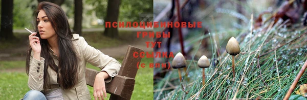 прущая мука Армянск