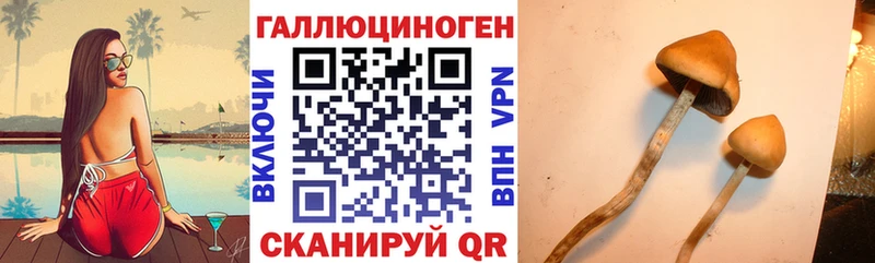 OMG маркетплейс  Артёмовский  Галлюциногенные грибы MAGIC MUSHROOMS  хочу  
